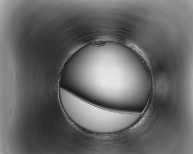 X0000096221049200801181025