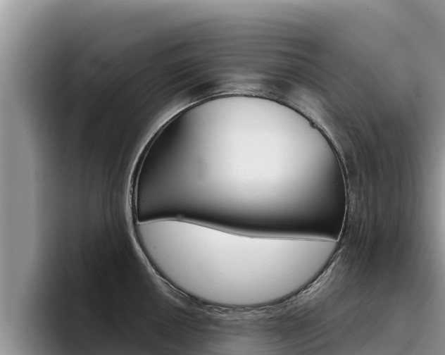 X0000096221050200801181025