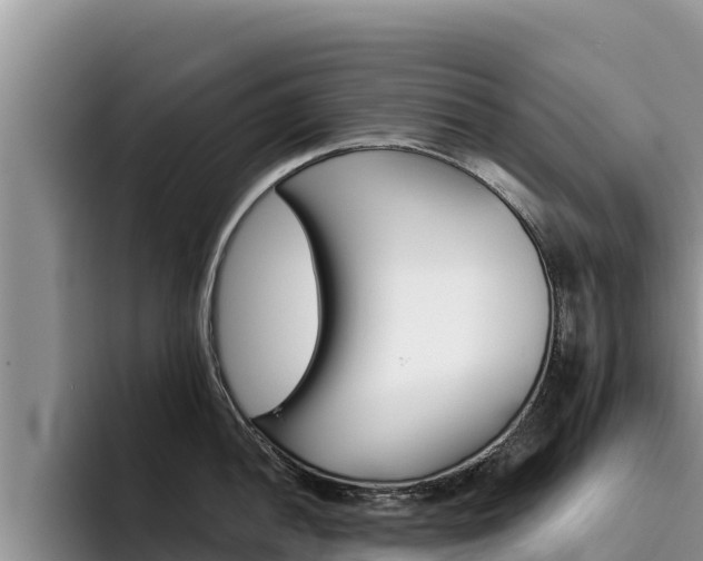 X0000096221052200801181025