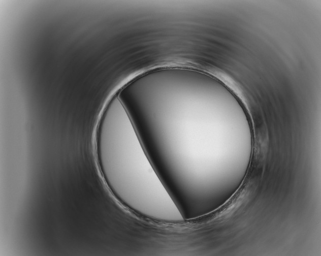 X0000096221053200801181025