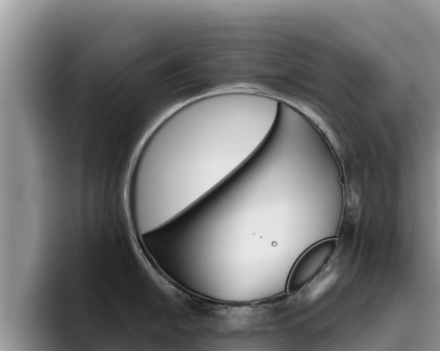 X0000096221054200801181025