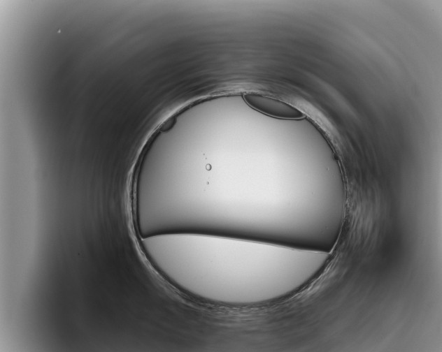 X0000096221055200801181025