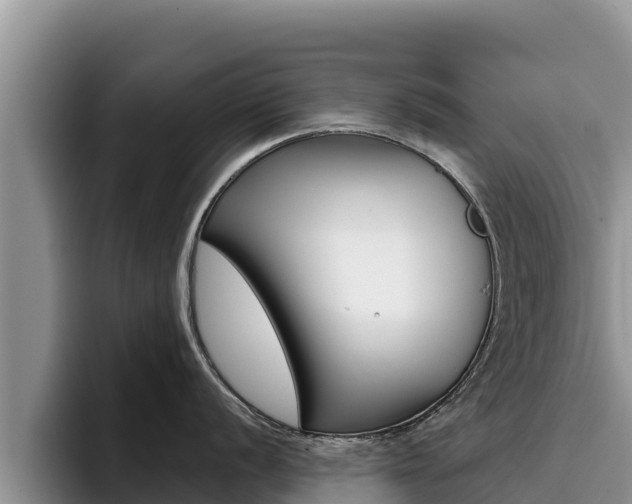X0000096221056200801181025