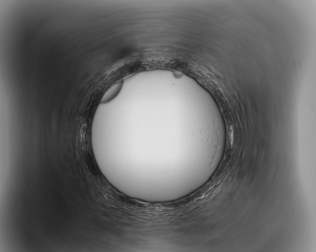 X0000096221059200801181025