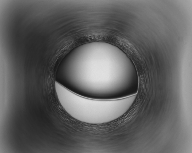 X0000096221060200801181025