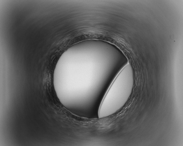 X0000096221061200801181025