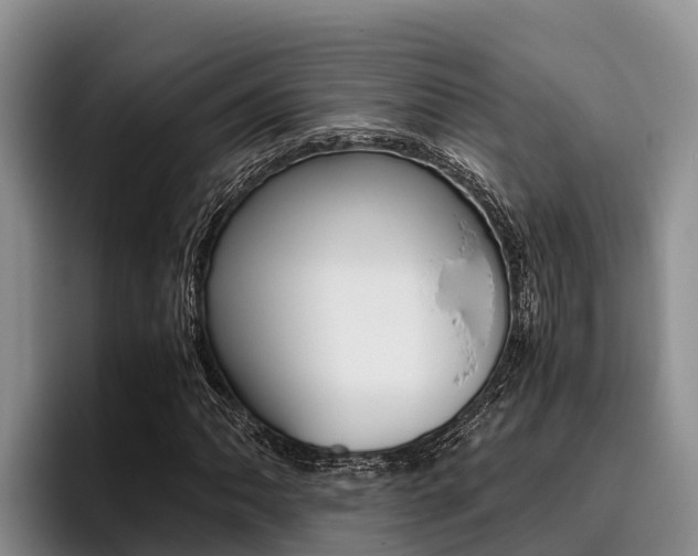 X0000096221062200801181025