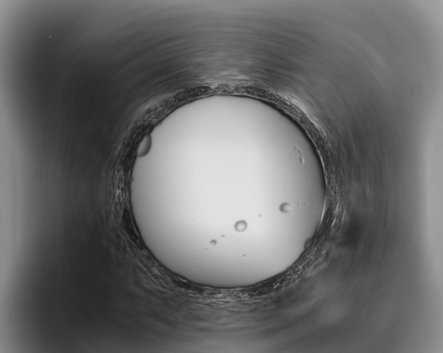 X0000096221063200801181025