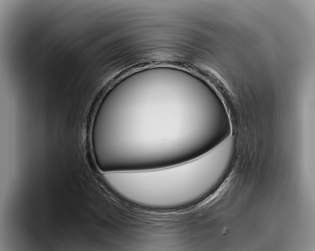 X0000096221065200801181025