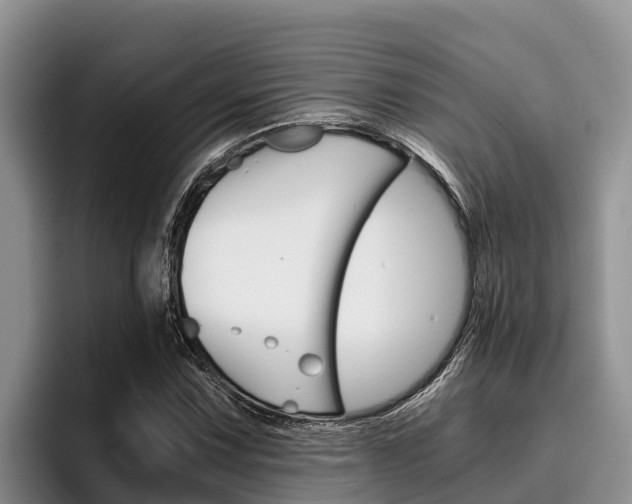 X0000096221067200801181025