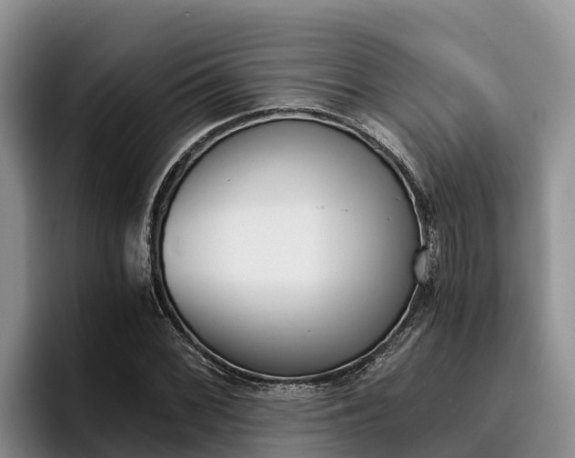 X0000096221068200801181025