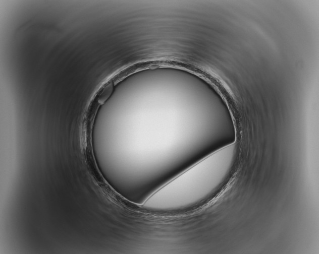X0000096221069200801181025