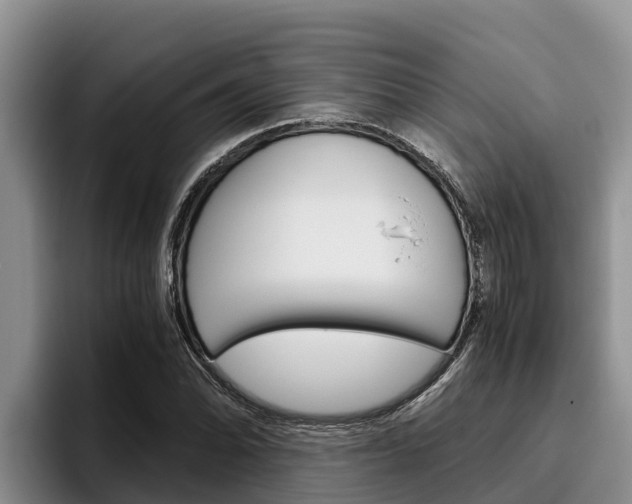 X0000096221070200801181025