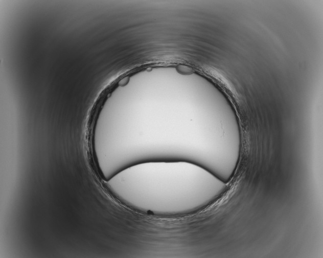 X0000096221071200801181025