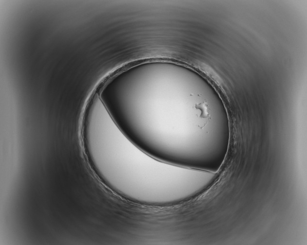X0000096221072200801181025