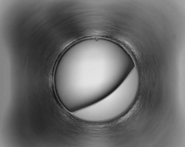 X0000096221073200801181025