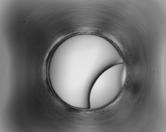 X0000096221075200801181025