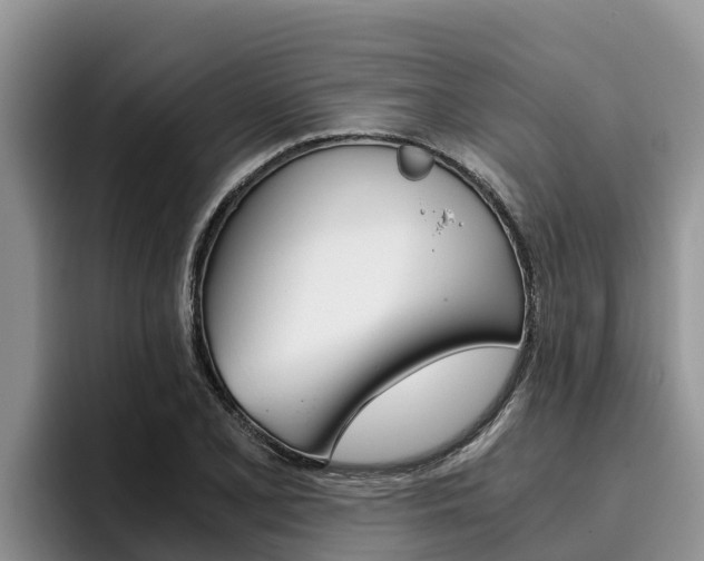 X0000096221077200801181025