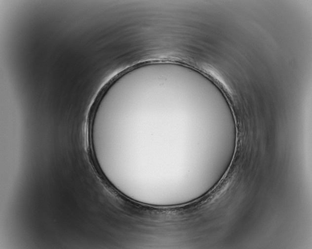 X0000096221079200801181025