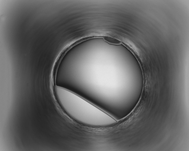 X0000096221080200801181025