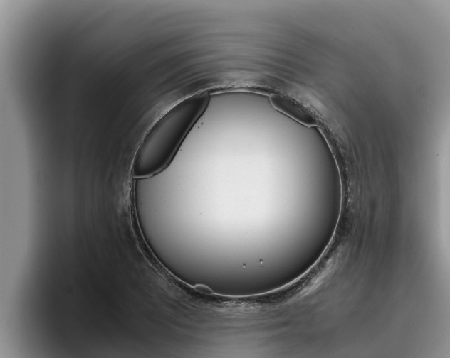 X0000096221081200801181025
