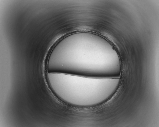 X0000096221082200801181025