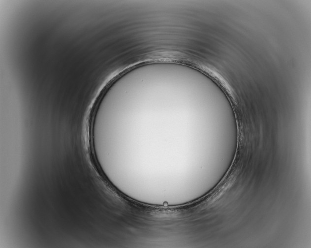 X0000096221083200801181024