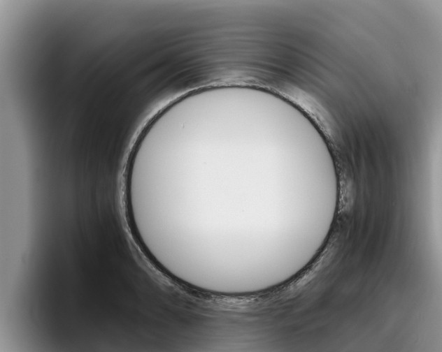 X0000096221086200801181024