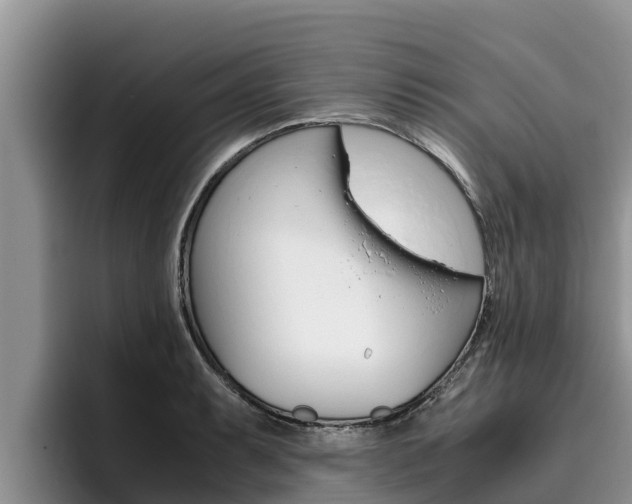 X0000096221087200801181024