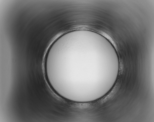 X0000096221090200801181024