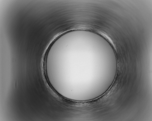 X0000096221091200801181024