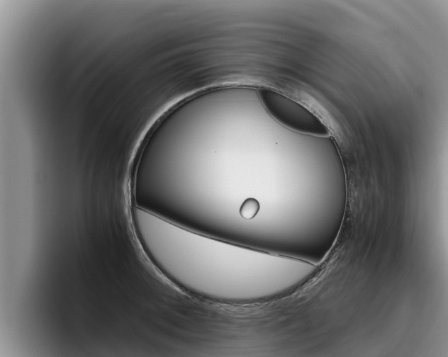 X0000096221092200801181024