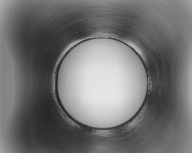 X0000096221094200801181024