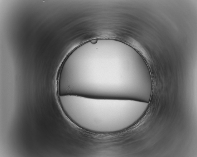 X0000096221095200801181024