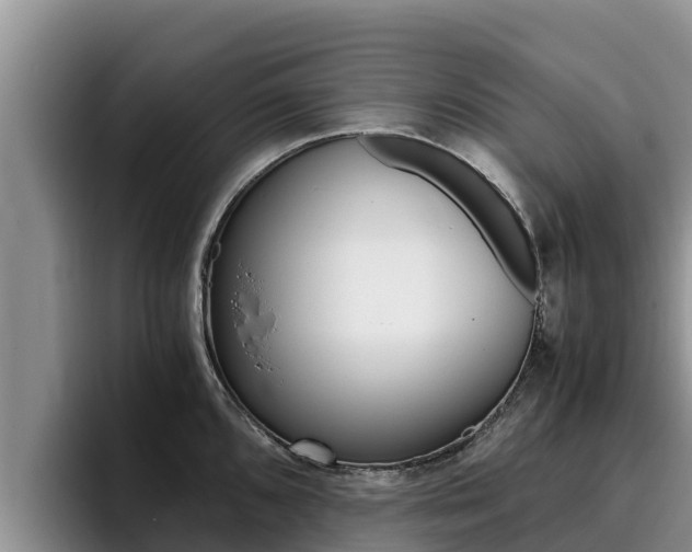 X0000096221096200801181024