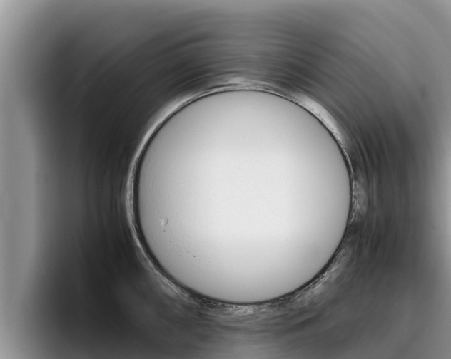 X0000096221098200801181024