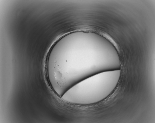 X0000096221099200801181024