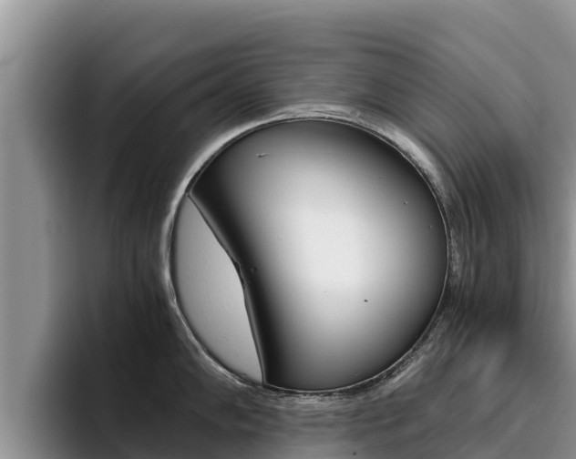 X0000096221102200801181024