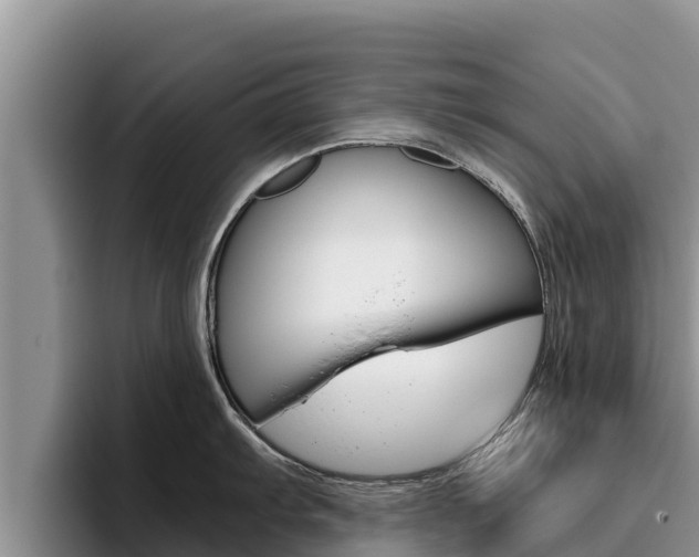 X0000096221103200801181024