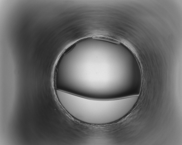 X0000096221104200801181024