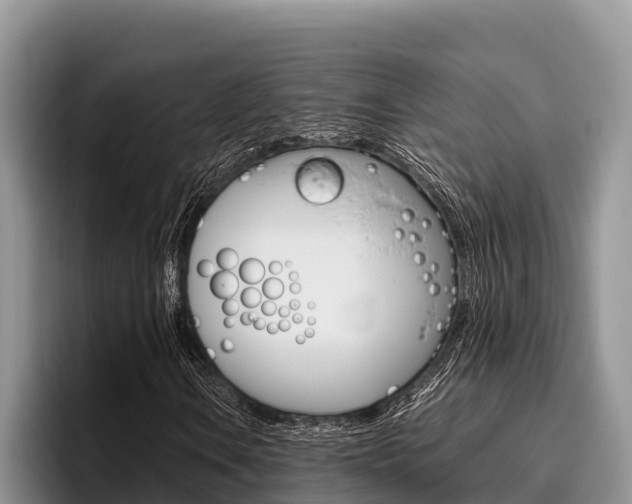 X0000096221106200801181024
