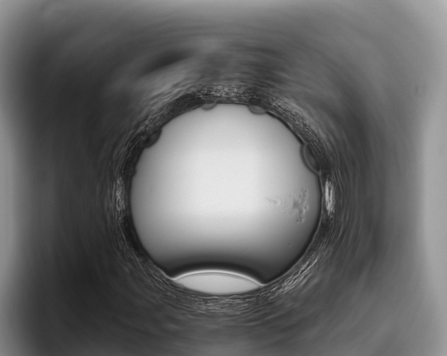 X0000096221107200801181024