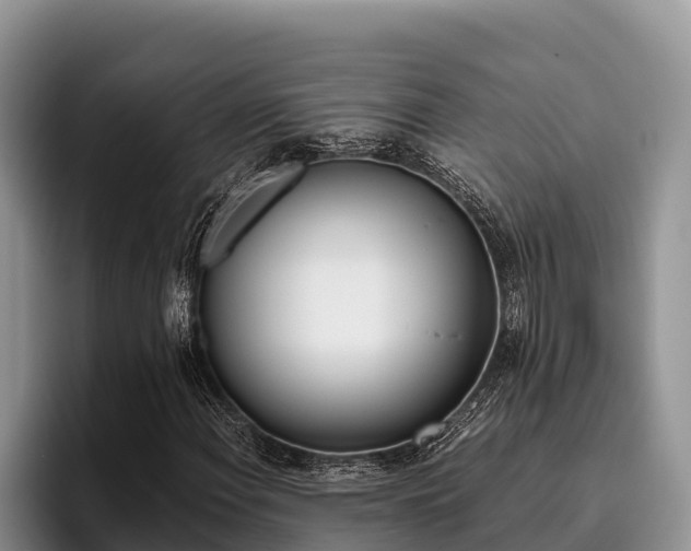 X0000096221108200801181024