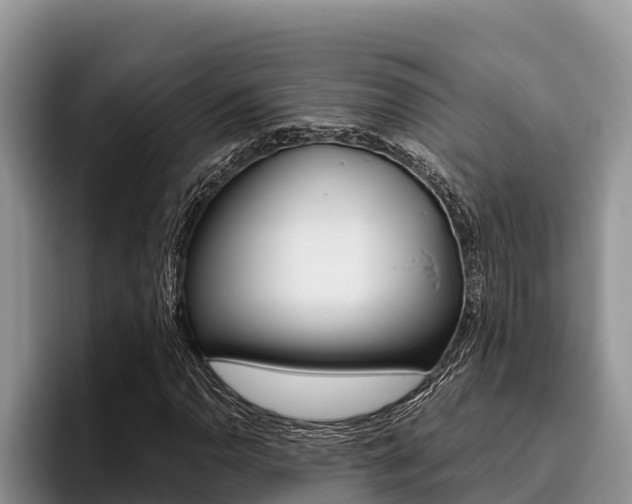 X0000096221110200801181024