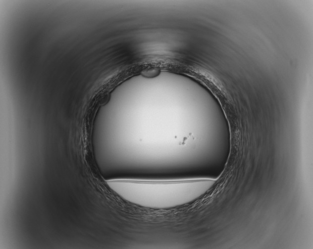 X0000096221111200801181024