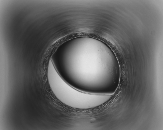 X0000096221112200801181024