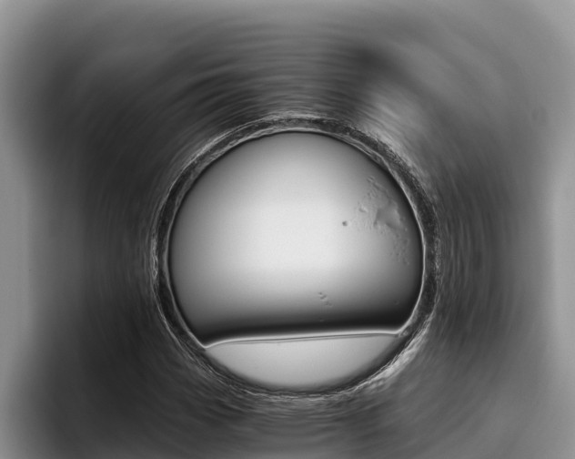 X0000096221113200801181024
