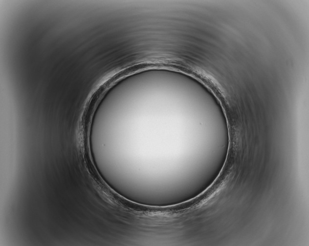 X0000096221114200801181024