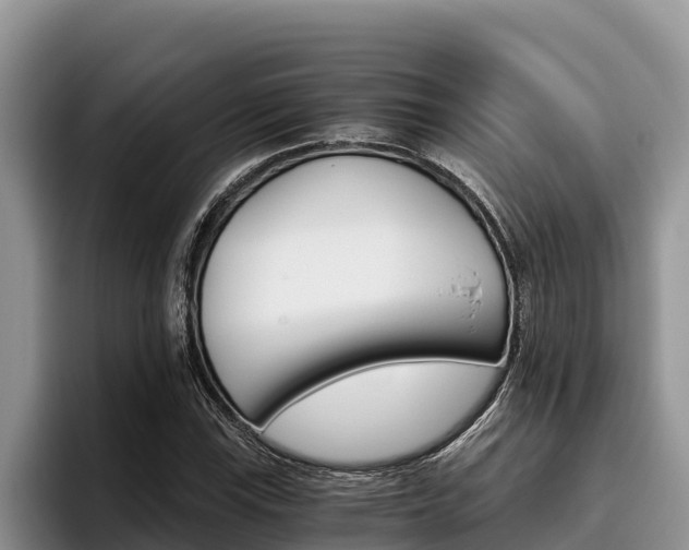 X0000096221115200801181024