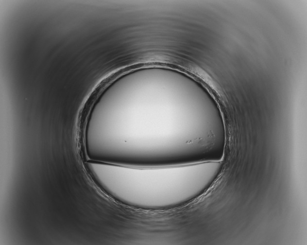 X0000096221116200801181024